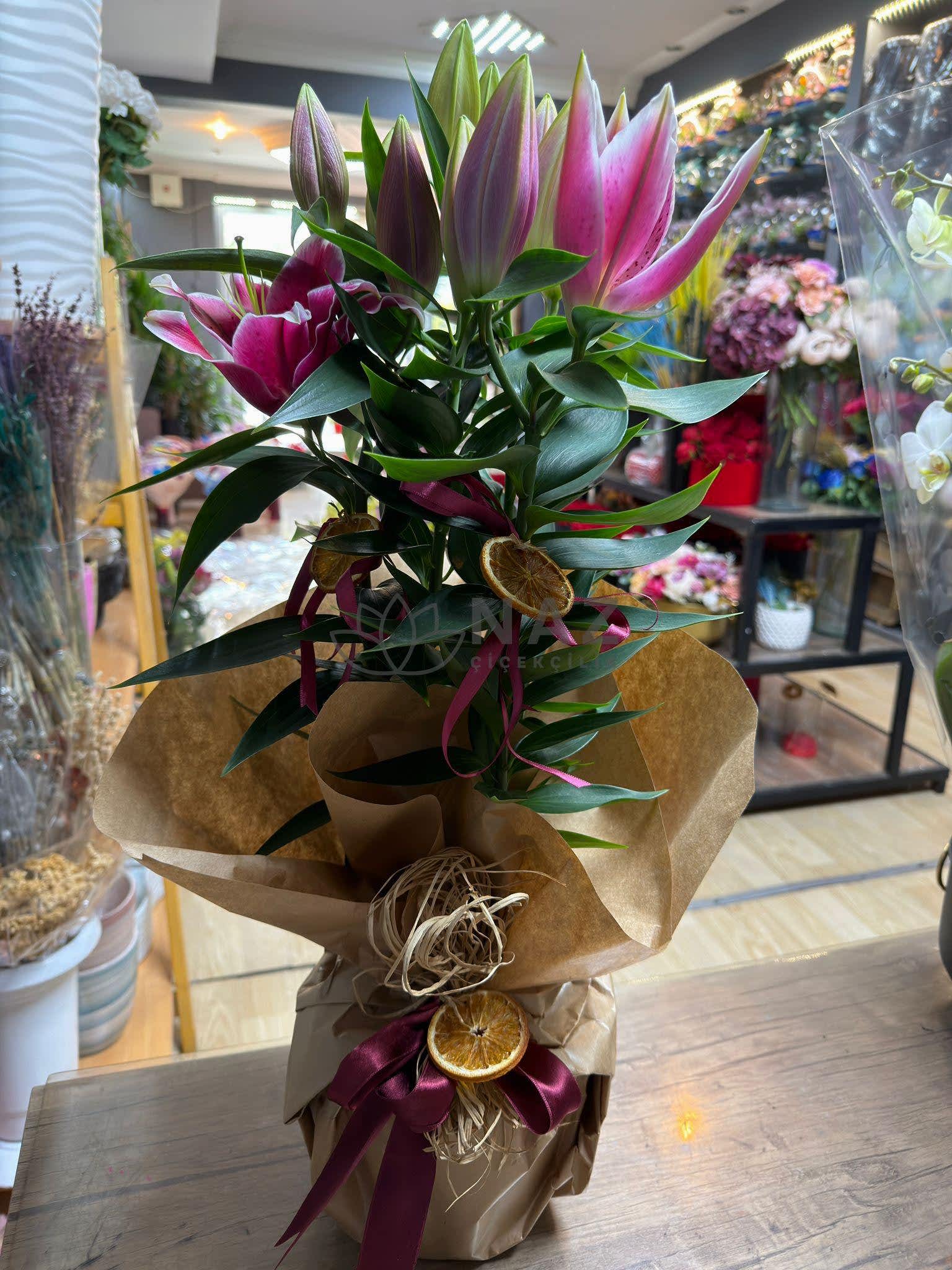 Saksıda Mis Kokulu Lilyum